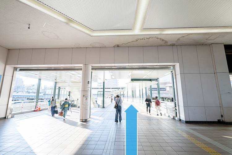 JR武蔵溝ノ口駅からのルート